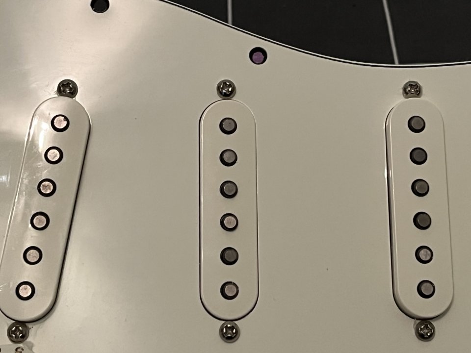 Golpeador Fender Player Stratocaster completo