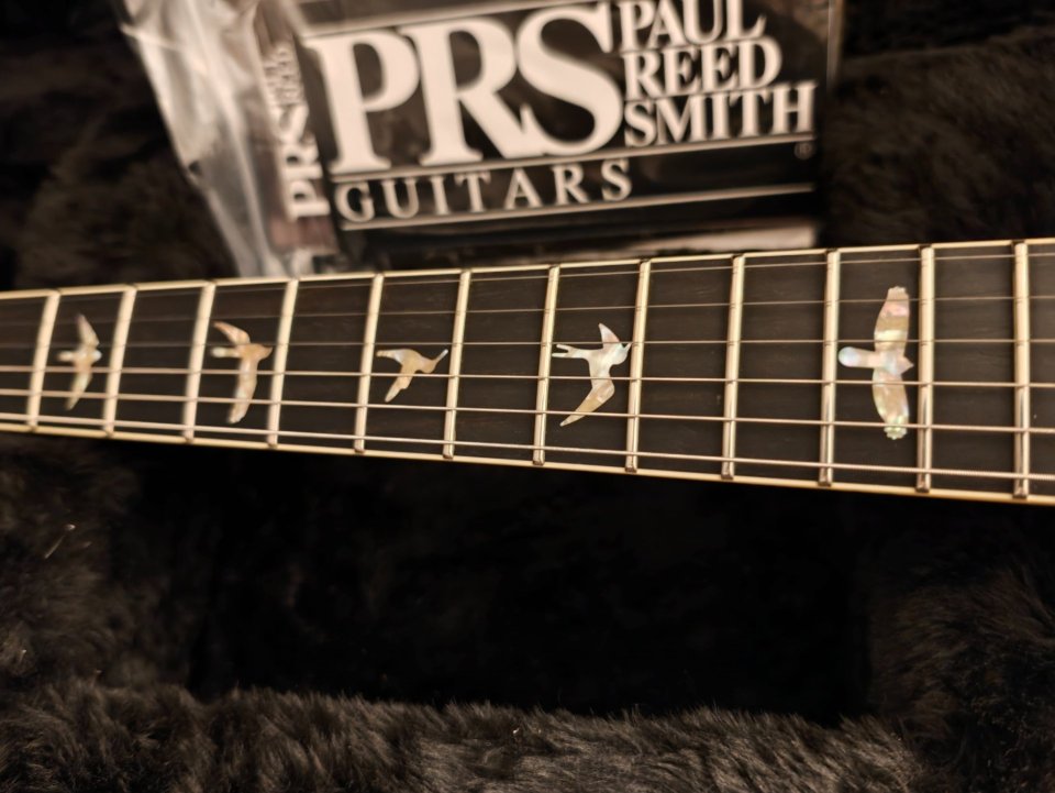 PRS DGT 10 Top Special Order de segunda mano · Foto 5 de 10 · Cantabria · 4150 €