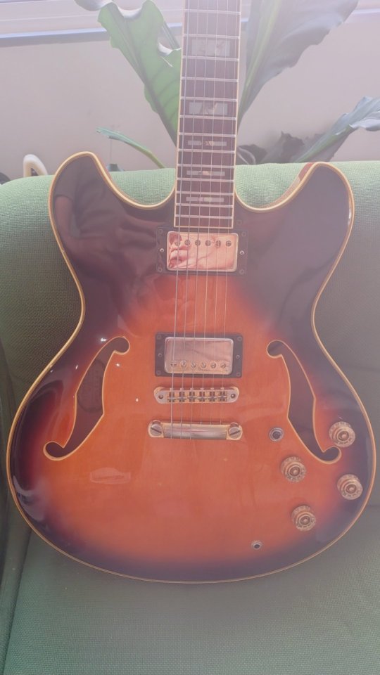 Ibanez artstar as120
