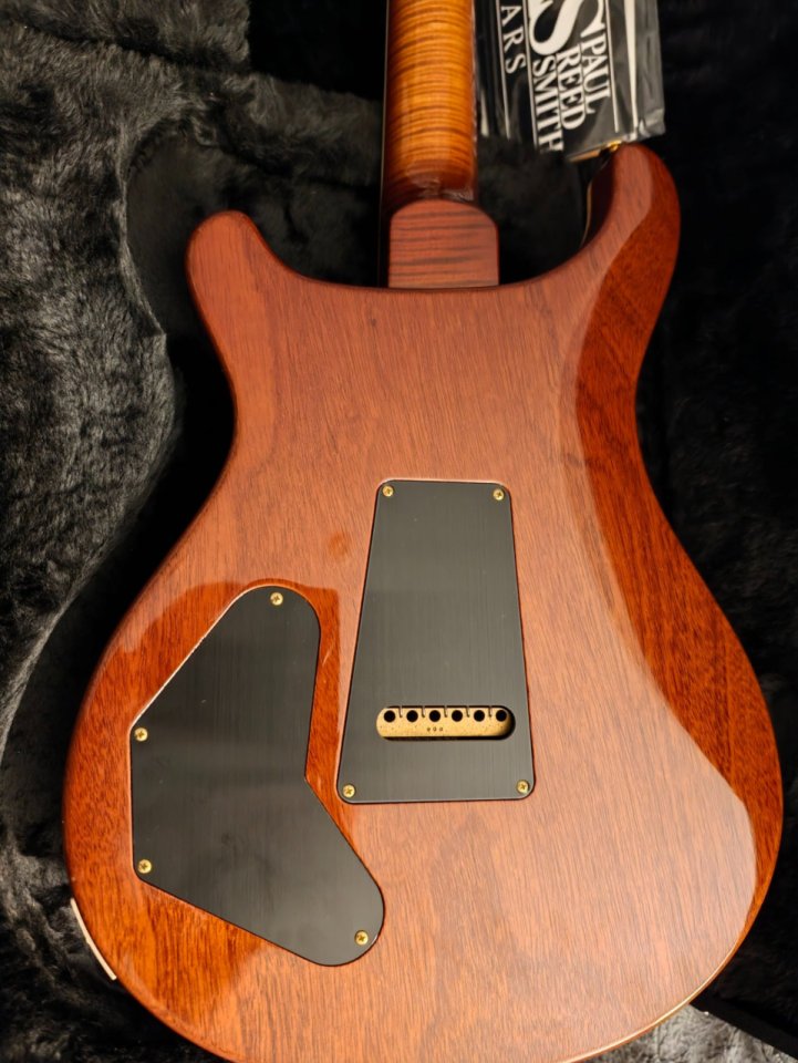 PRS DGT 10 Top Special Order de segunda mano · Foto 9 de 10 · Cantabria · 4150 €