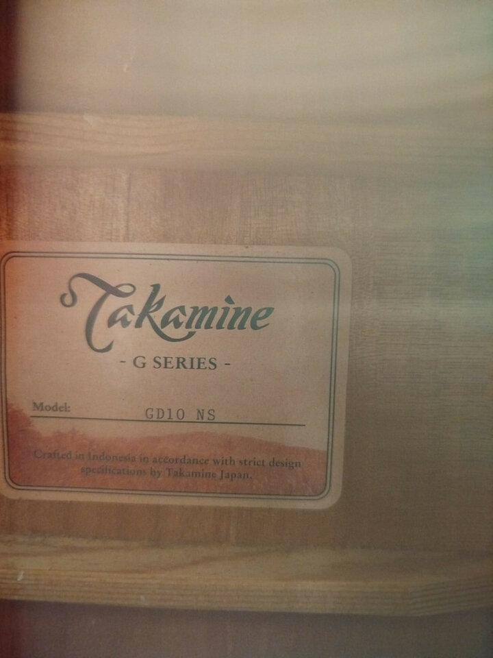 Acústica Takamine GD10 NS