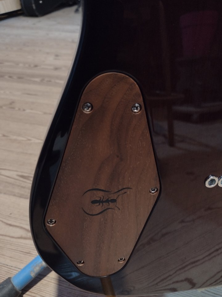 telecaster construida en rusia de segunda mano · Foto 7 de 10 · Lleida · 1600 €