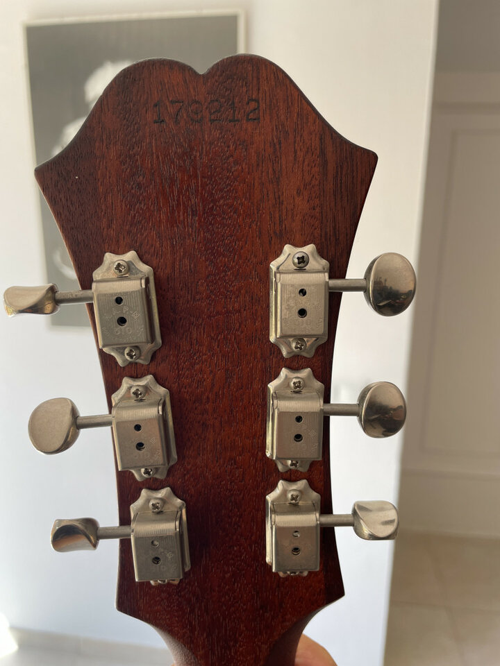 EPIPHONE RIVIERA  E360 TD año 64