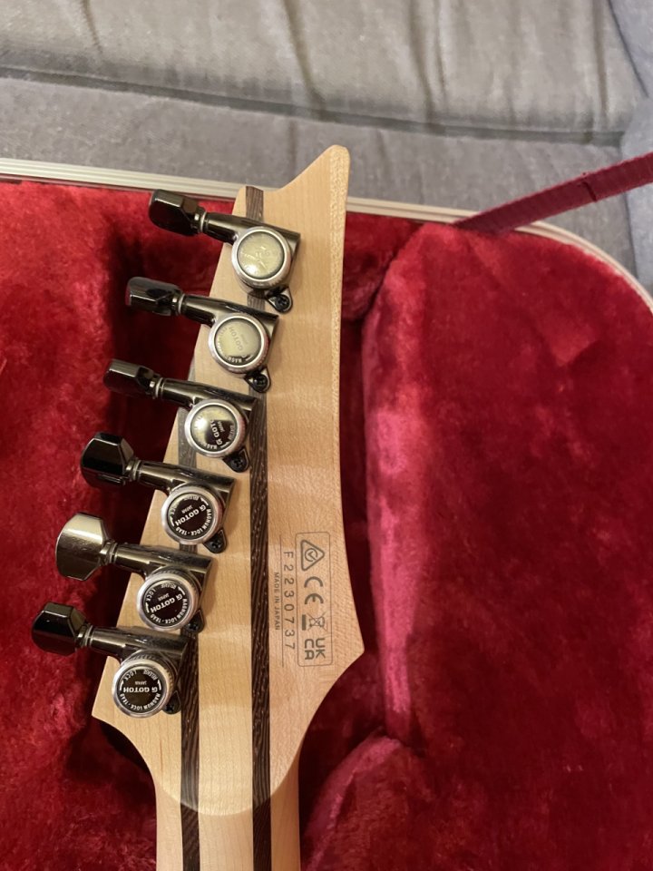 Ibanez Prestige RGR 5221 TGR