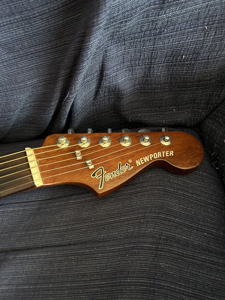 Fender Newporter