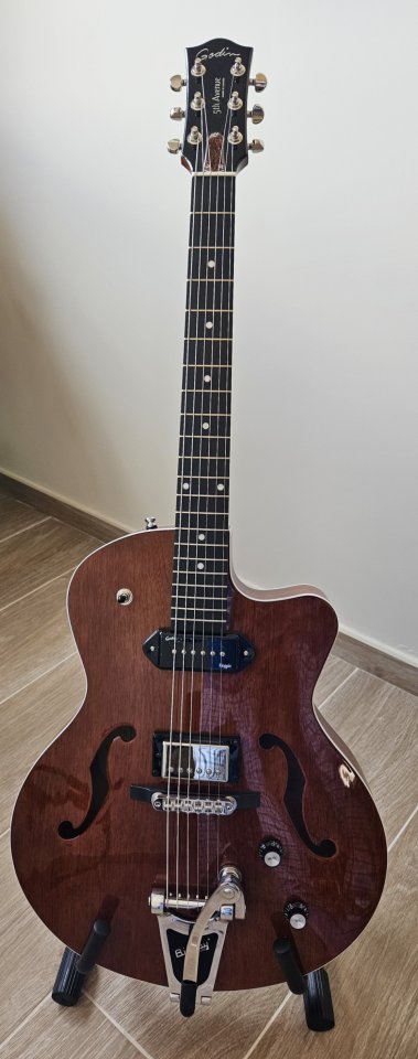 Godin 5th Avenue Uptown Custom