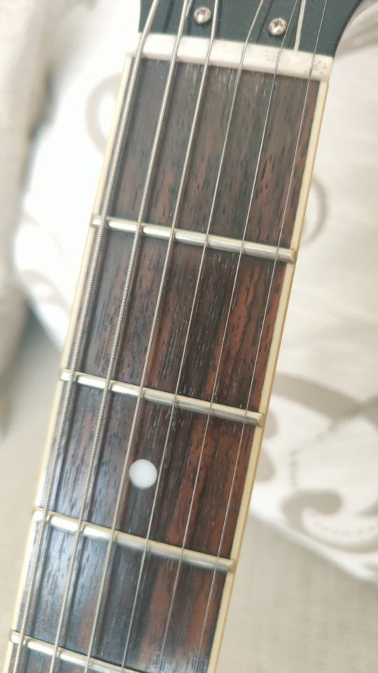 Tokai ES60 semihollow de segunda mano · Foto 6 de 10 · A Coruña · 550 €