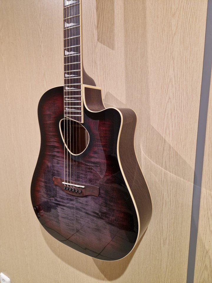 Vendo o Cambio Ibanez ALT30FM prácticamente nueva