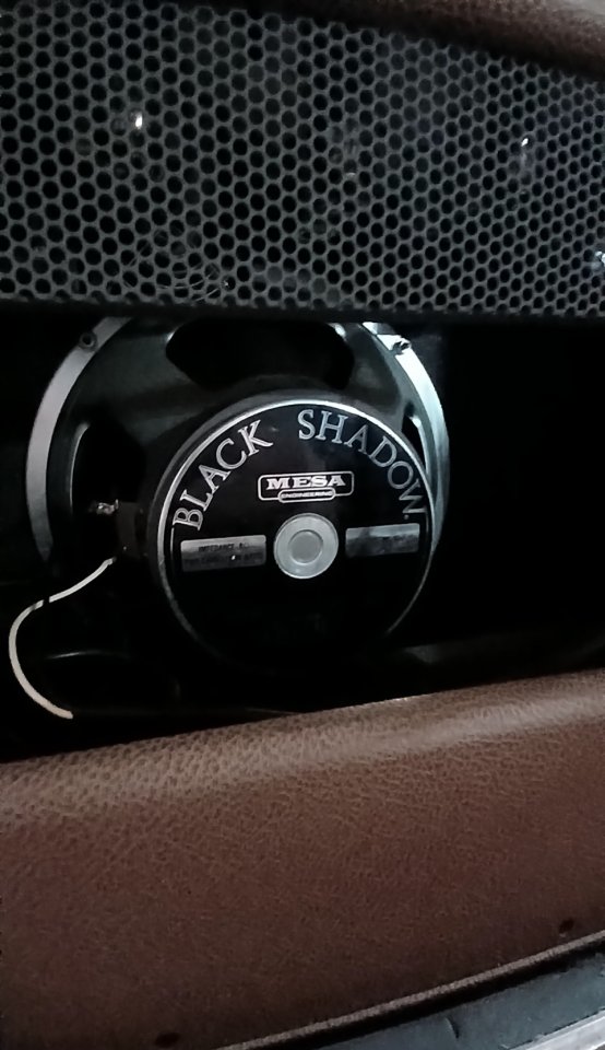 Mesa Boogie Lonestar Special