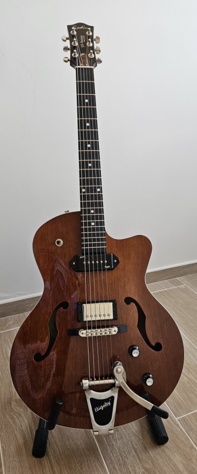Godin 5th Avenue Uptown Custom