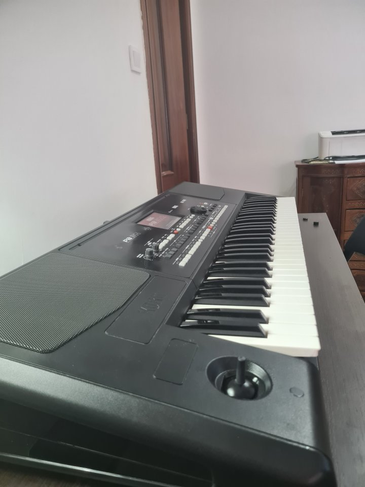 Korg PA300 de segunda mano · Foto 8 de 9 · Valencia · 452 €