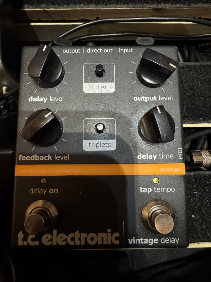 Tc. Electonic vintage delay ( Cambio)