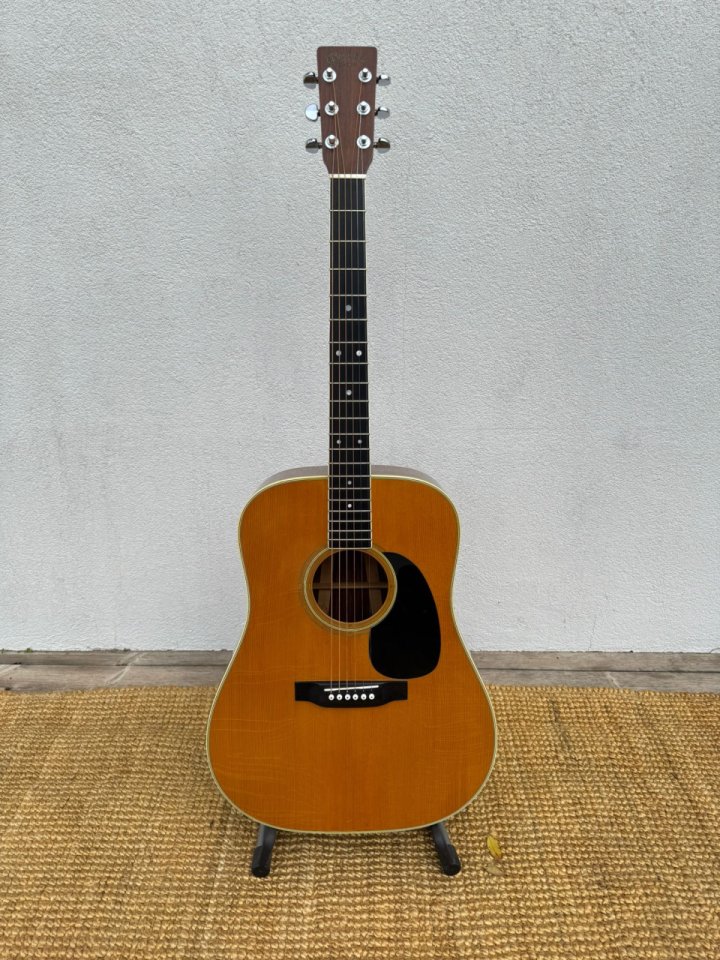 Martin D-35 1975