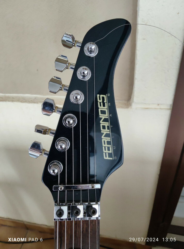 Fernandes afsr sustainer