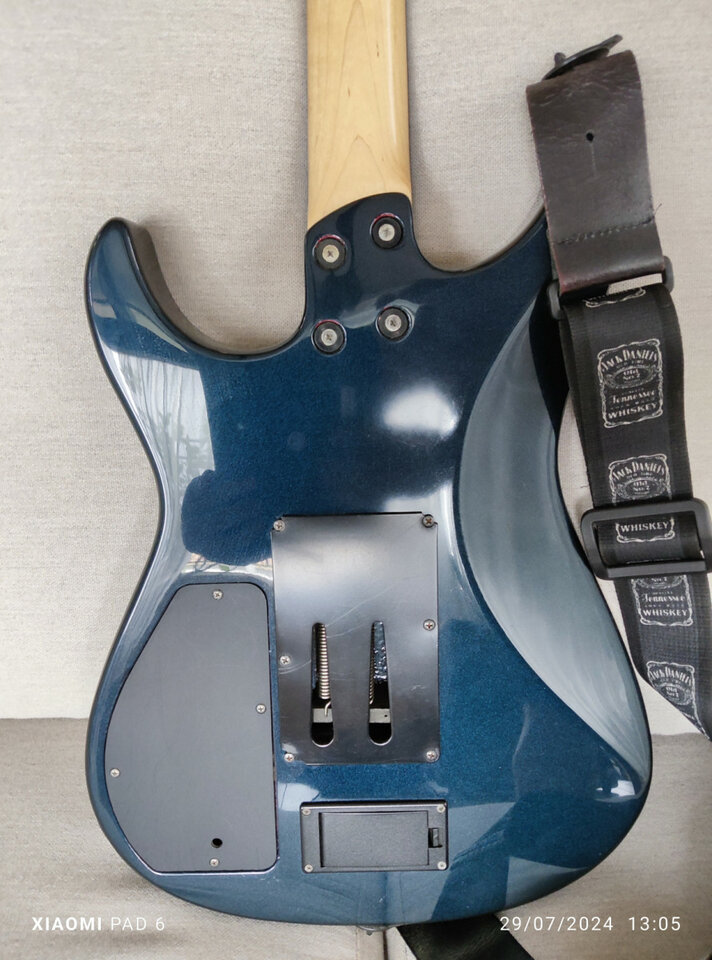 Fernandes afsr sustainer