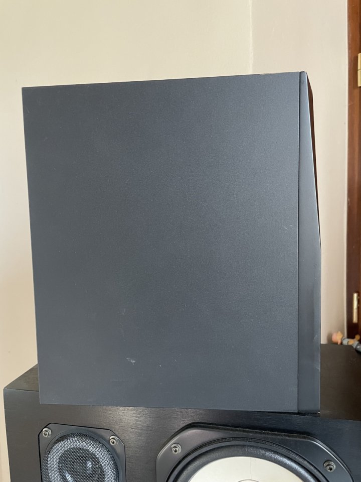 Monitores ADAM S1A Campo Cercano