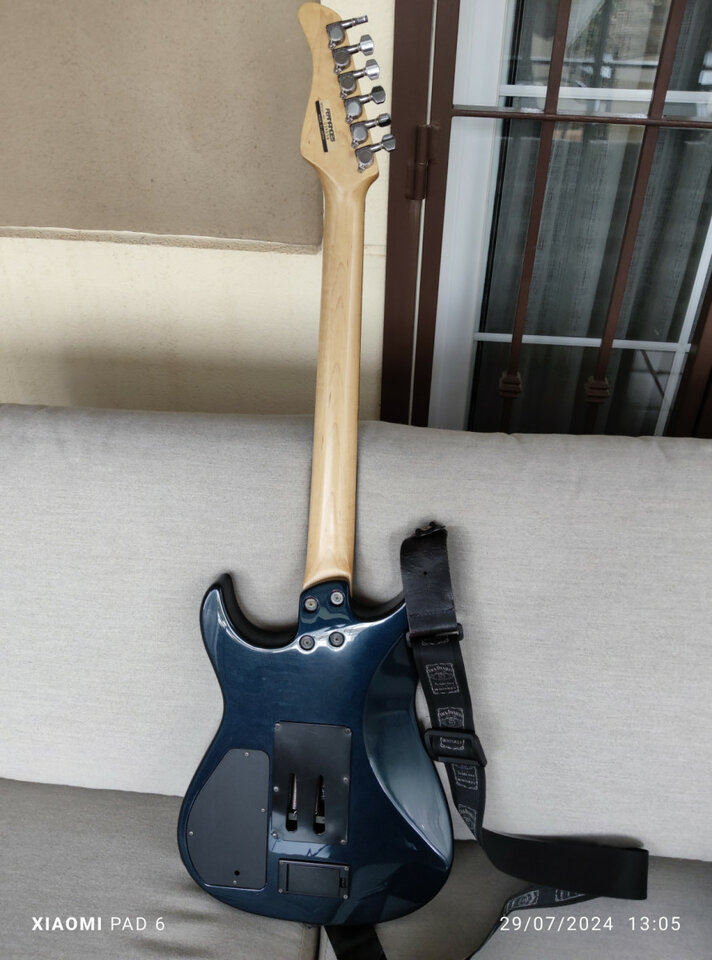 Fernandes afsr sustainer