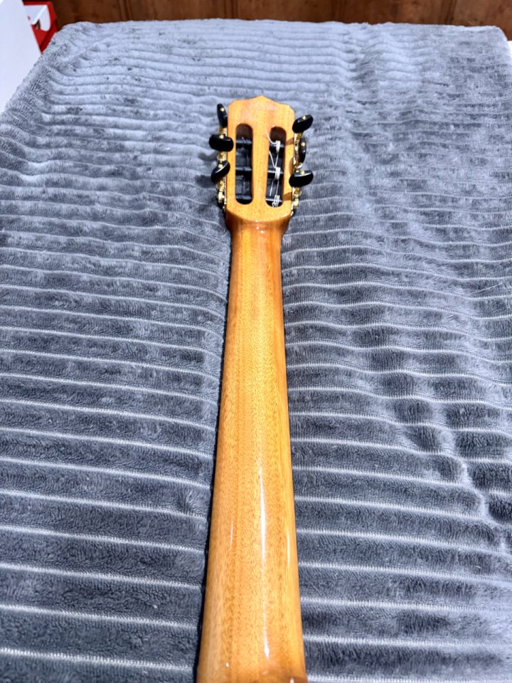 Cordoba Stage Guitar Natural Amber w/B de segunda mano · Foto 5 de 10 · SC Tenerife · 600 €