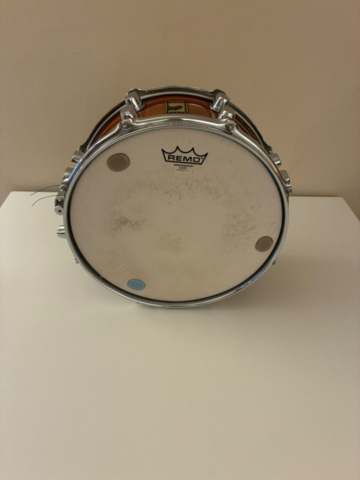 Tambor Black Panther 13 de segunda mano · Foto 2 de 5 · Illes Balears · 280 €