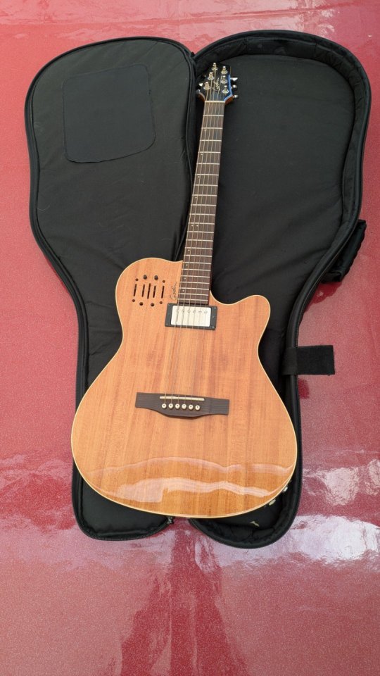 GUITARRA GODIN A6 de segunda mano · Foto 1 de 3 · Lugo · 800 €