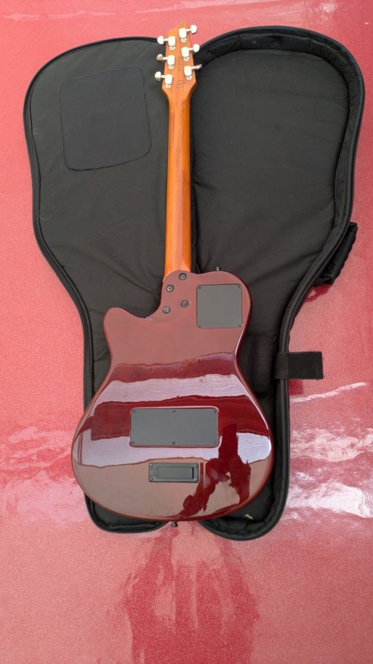 GUITARRA GODIN A6 de segunda mano · Foto 2 de 3 · Lugo · 800 €