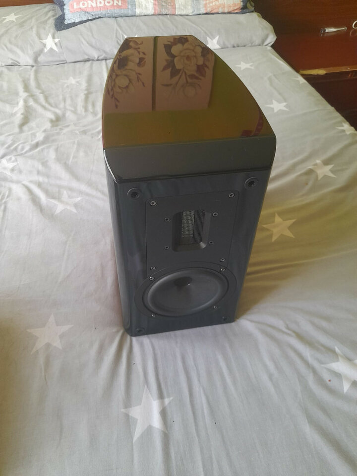 Aurum Cantus V2M Pareja