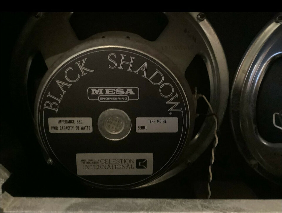 Amplificador mesa boogie dual rectifier+pantalla