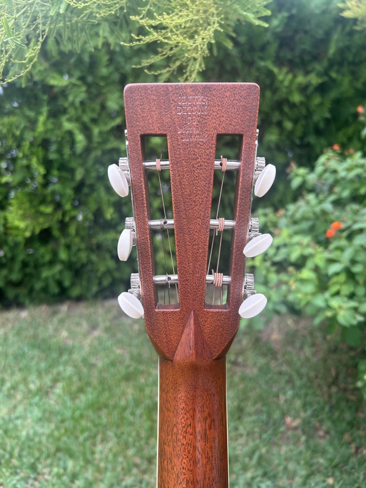 Martin D-222 Limited edition