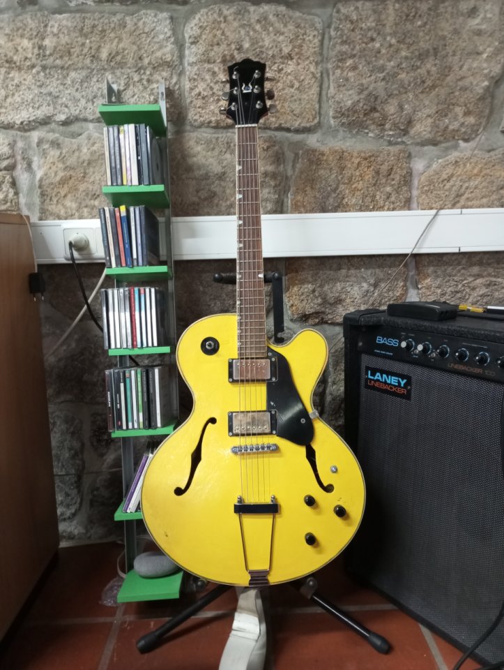 Guitarra Alan Entwistle -Diseño Autor