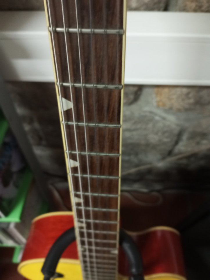 Guitarra Alan Entwistle -Diseño Autor