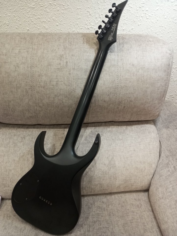 Washburn parallaxe negra