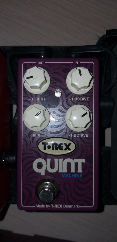 T REX QUINT octavador