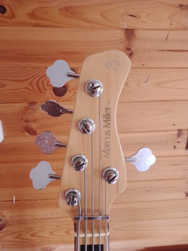 Sire V7 Vintage Swamp Ash WB 5 cuerdas