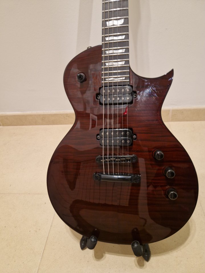 Esp ltd ec 1001 deluxe tiger eye