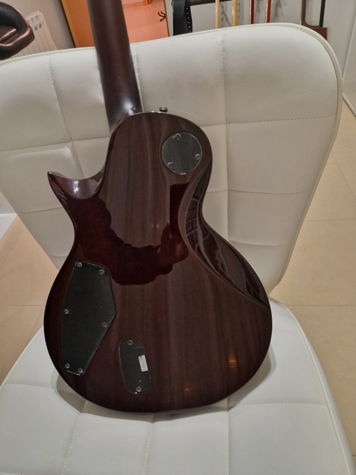 O vendo Esp ltd ec 1001 deluxe tiger eye