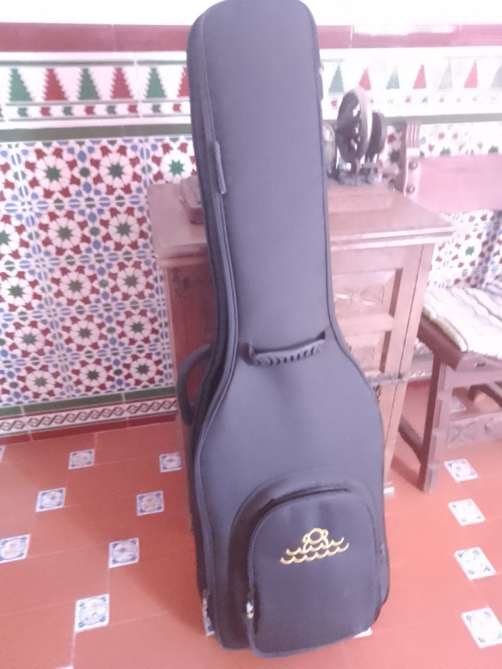 Sire V7 Vintage Swamp Ash WB 5 cuerdas