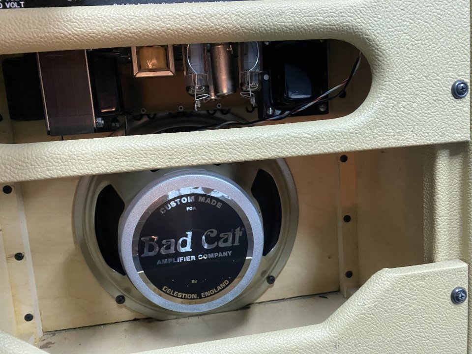 Bad Cat Lil 15 Combo 1x12 USA – Boutique Handwired de segunda mano · Foto 4 de 7 · Madrid · 1400 €