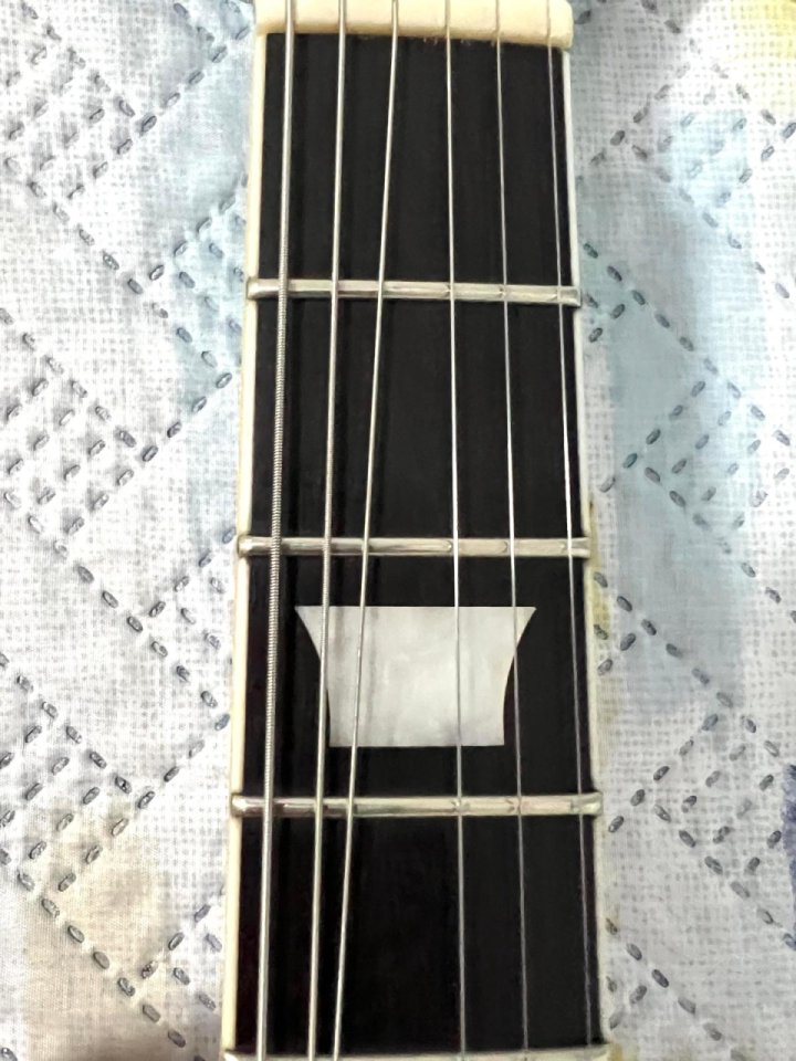 Sire Larry Carlton S7