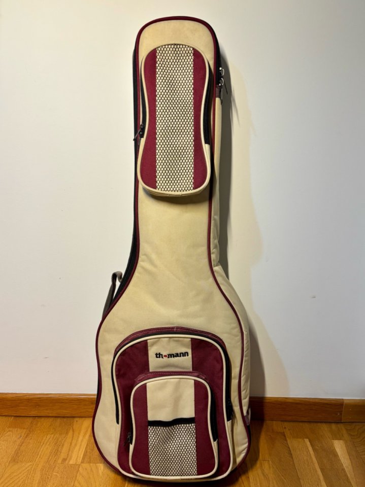 Squier Telecaster Standard