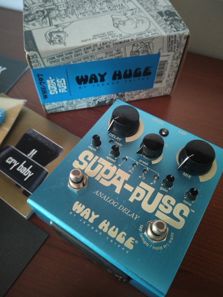 Way Huge SUPA-PUSS Analog Delay de segunda mano · Foto 1 de 4 · Huelva · 260 €