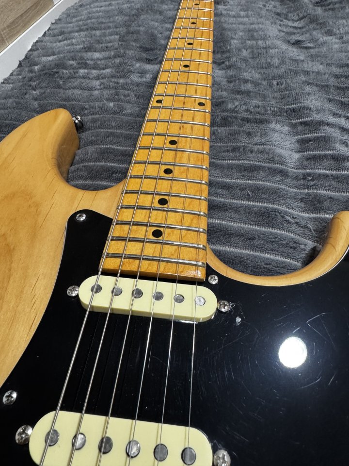 Larry Carlton by Sire S5 Natural