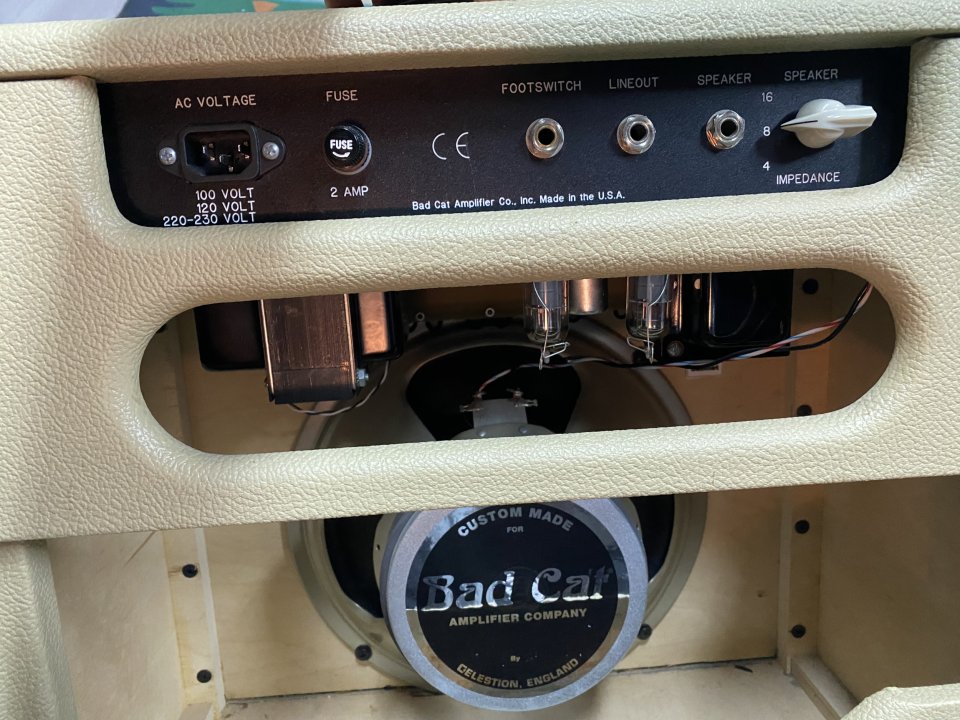 Bad Cat Lil 15 Combo 1x12 USA – Boutique Handwired de segunda mano · Foto 6 de 7 · Madrid · 1400 €