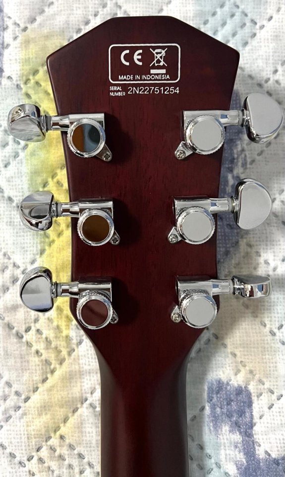 Sire Larry Carlton S7