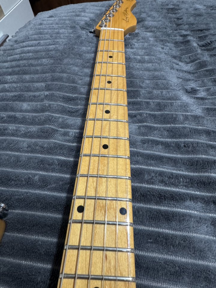 Larry Carlton by Sire S5 Natural