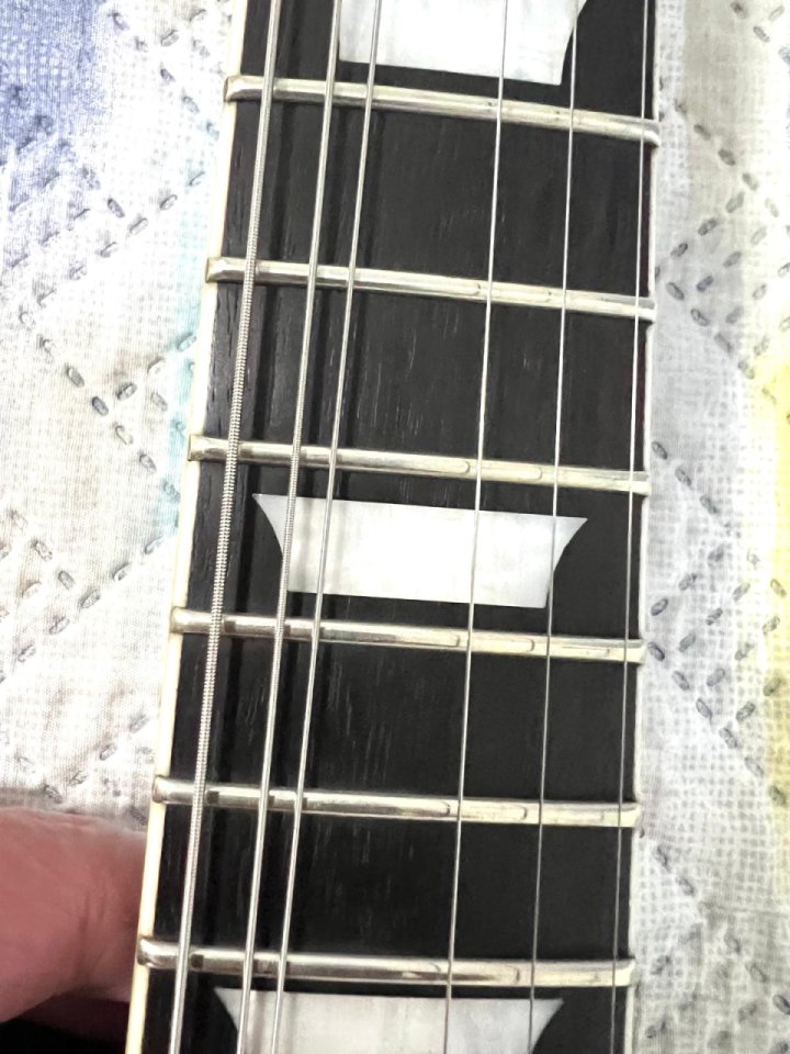 Sire Larry Carlton S7