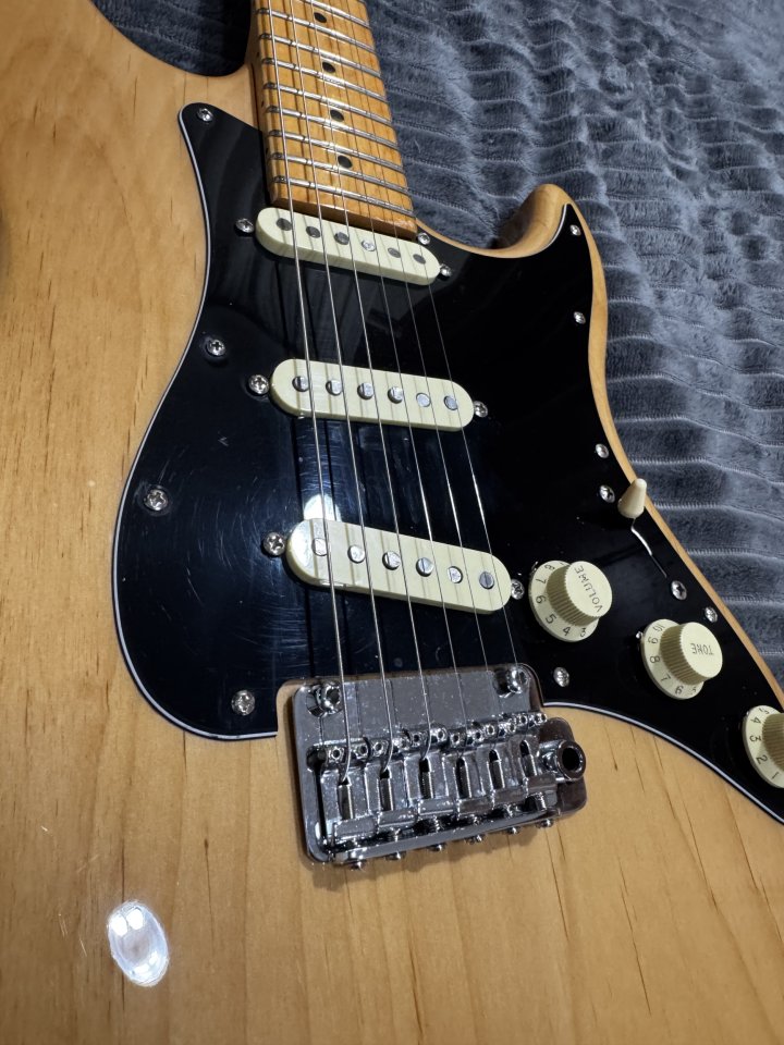 Larry Carlton by Sire S5 Natural