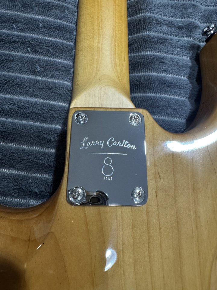 Larry Carlton by Sire S5 Natural