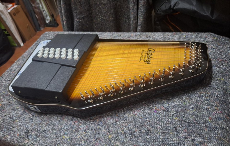 Arpa Autoharp Oscar Schmidt OS150FCE de segunda mano · Foto 1 de 6 · Bizkaia · 550 €