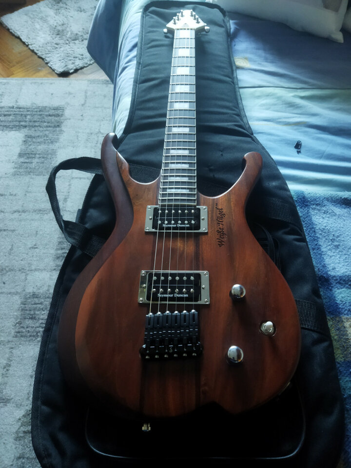 Guitarra con Cuerpo Weisse Hüggel