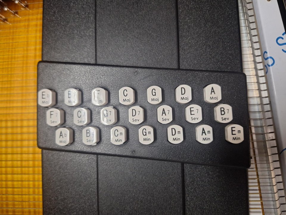 Arpa Autoharp Oscar Schmidt OS150FCE de segunda mano · Foto 3 de 6 · Bizkaia · 550 €